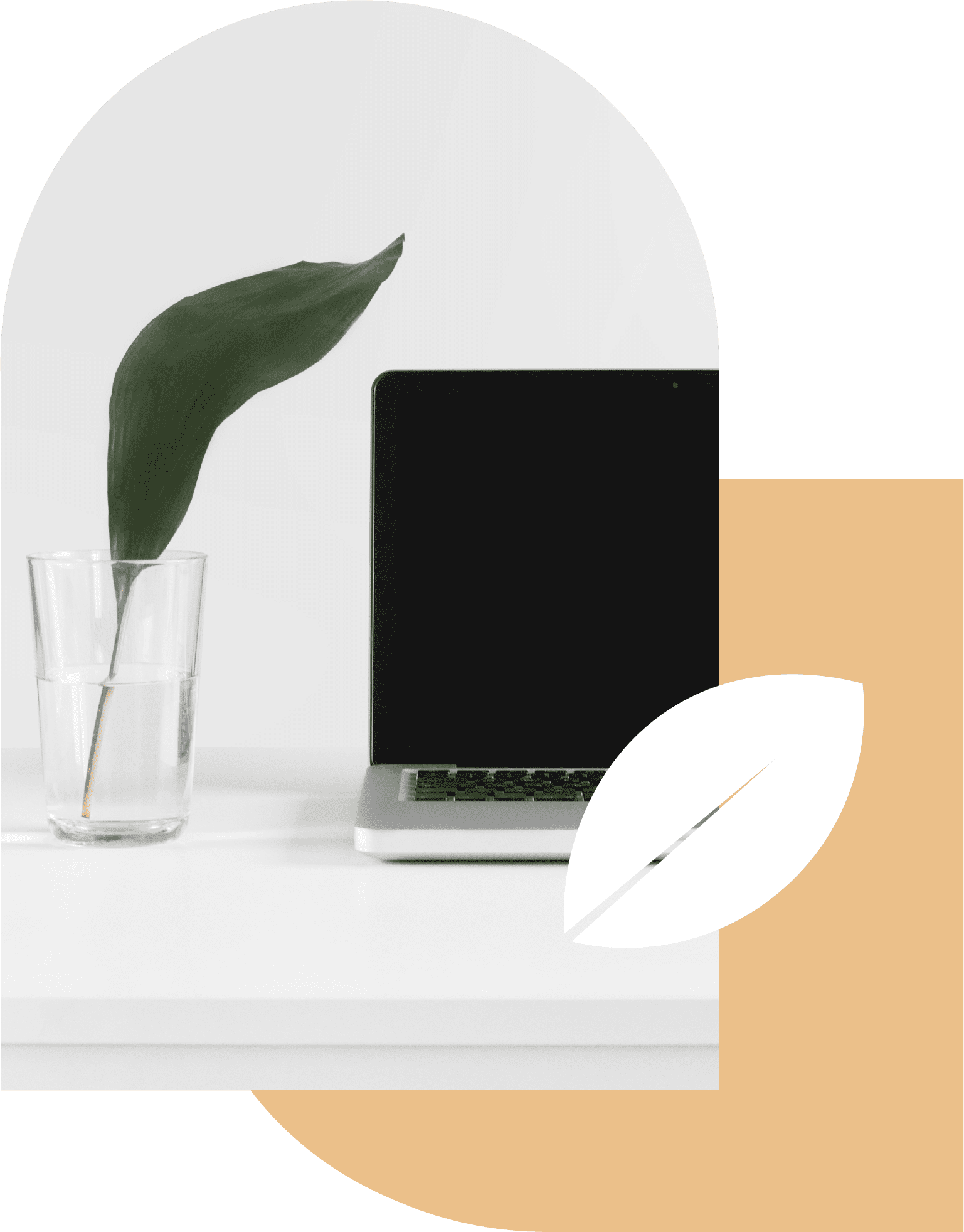 VirtualConsult